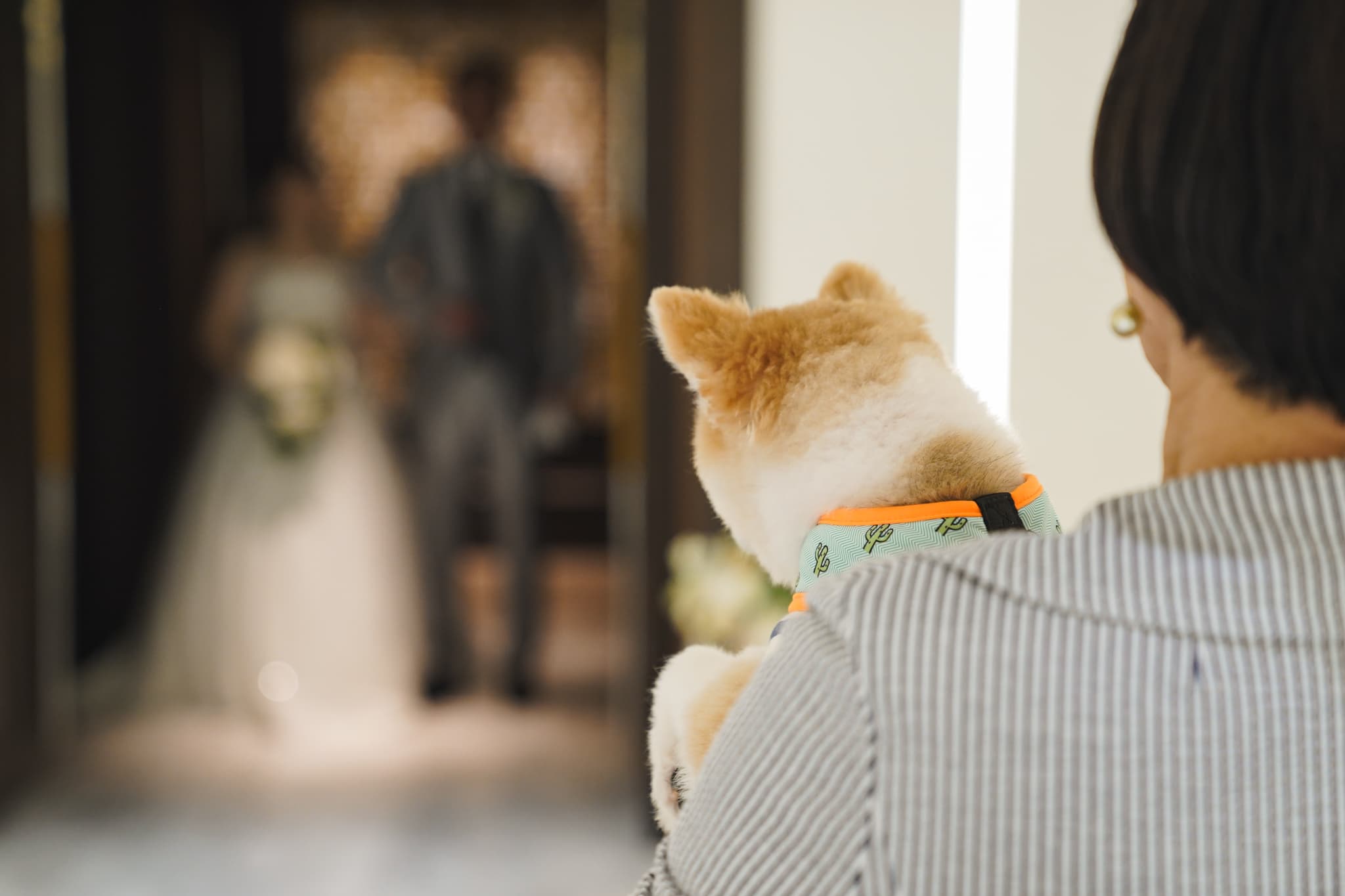 わんちゃんと一緒におひろめフォトを♪